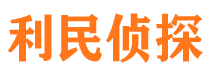 桥西市私家侦探